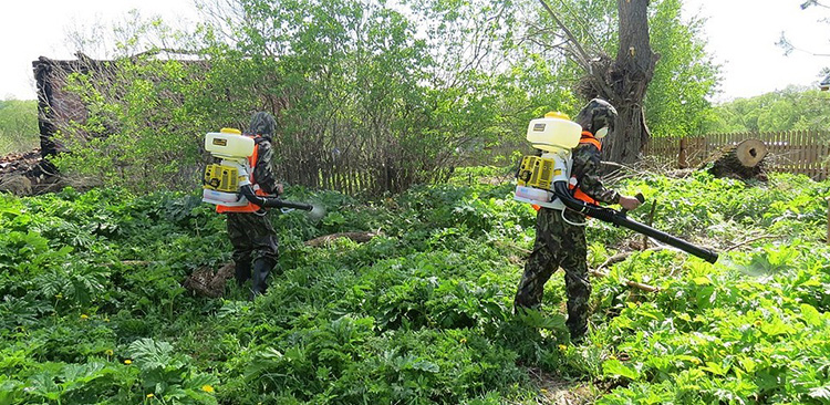 Гербицидная обработка территории